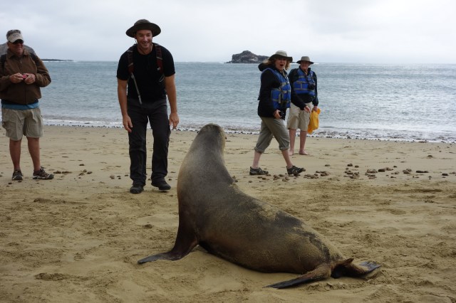 Greg being attacked by sea Lion
