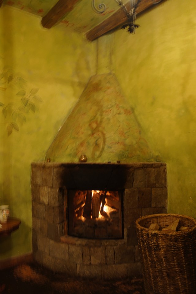 Fireplace in bathroom...crazy cool!