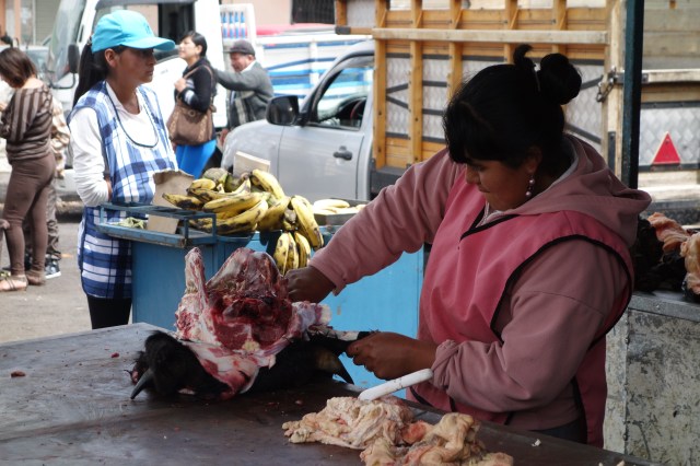 Skin being removed from cow head...yup.  